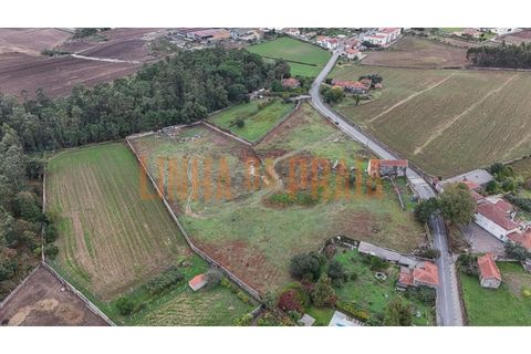 Tomt i Vila do Conde, Porto, Vila do Conde - € 1 480 000 | Ref: 5567 - foto 6