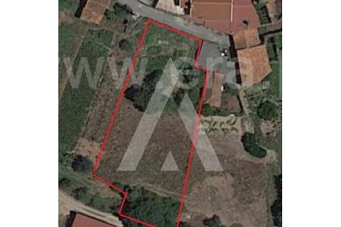 Helårsgrund i Anadia, Aveiro, Anadia - € 35.000 | Ref: 1051381/26 OB - foto 7