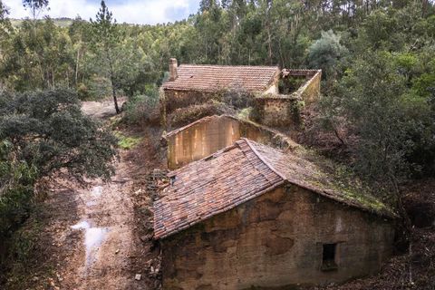 Farm i Monchique, Faro, Monchique - € 2.450.000 | Ref: QT-977 - foto 18
