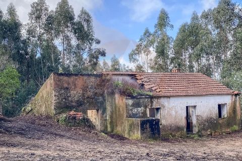 Farm i Monchique, Faro, Monchique - € 2.450.000 | Ref: QT-977 - foto 2