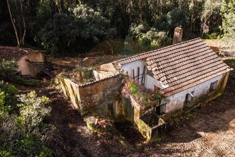 Farm i Monchique, Faro, Monchique - € 2.450.000 | Ref: QT-977 - foto 3