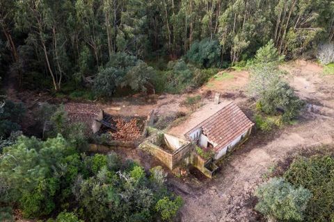 Farm i Monchique, Faro, Monchique - € 2.450.000 | Ref: QT-977 - foto 4