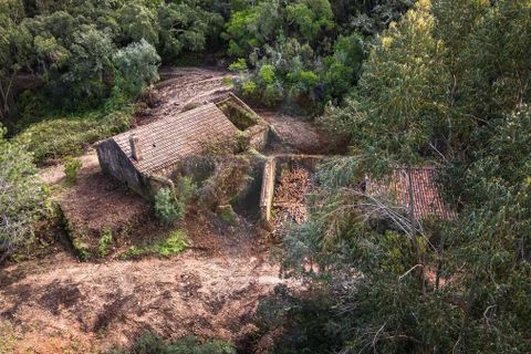 Farm i Monchique, Faro, Monchique - € 2.450.000 | Ref: QT-977 - foto 5