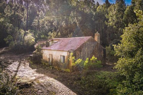 Farm i Monchique, Faro, Monchique - € 2.450.000 | Ref: QT-977 - foto 6