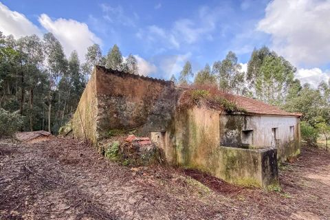 Farm i Monchique, Faro, Monchique - € 2.450.000 | Ref: QT-977 - foto 7