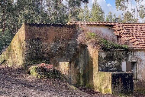Farm i Monchique, Faro, Monchique - € 2.450.000 | Ref: QT-977 - foto 8