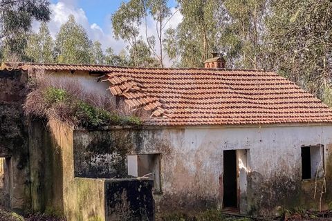 Farm i Monchique, Faro, Monchique - € 2.450.000 | Ref: QT-977 - foto 9