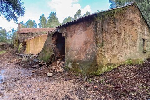 Farm i Monchique, Faro, Monchique - € 2.450.000 | Ref: QT-977 - foto 10