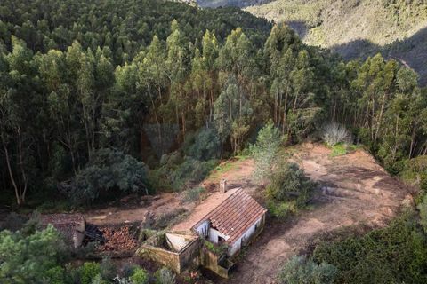 Farm i Monchique, Faro, Monchique - € 2.450.000 | Ref: QT-977 - foto 11
