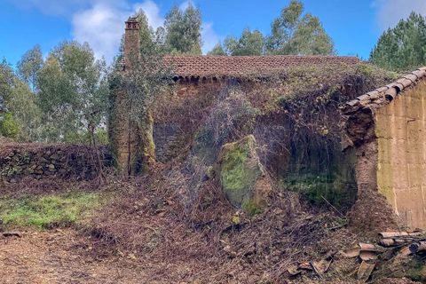 Farm i Monchique, Faro, Monchique - € 2.450.000 | Ref: QT-977 - foto 12