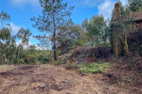 Farm i Monchique, Faro, Monchique - € 2.450.000 | Ref: QT-977 - foto 13