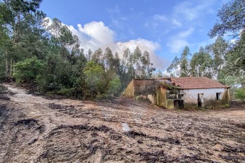 Farm i Monchique, Faro, Monchique - € 2.450.000 | Ref: QT-977 - foto 14