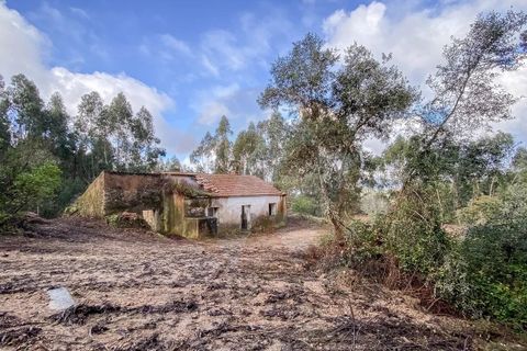 Farm i Monchique, Faro, Monchique - € 2.450.000 | Ref: QT-977 - foto 15