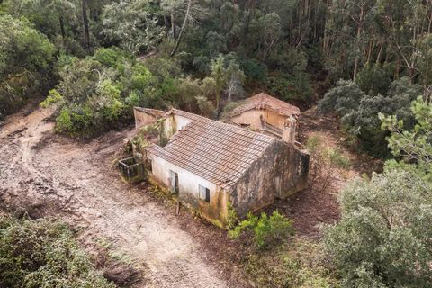 Farm i Monchique, Faro, Monchique - € 2.450.000 | Ref: QT-977 - foto 16