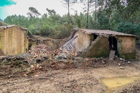 Farm i Monchique, Faro, Monchique - € 2.450.000 | Ref: QT-977 - foto 17