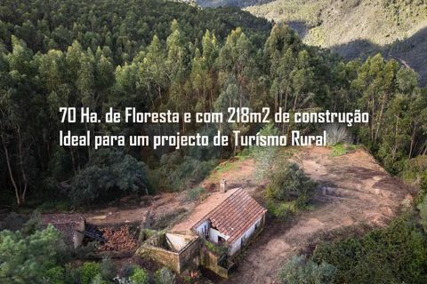 Farm i Monchique, Faro, Monchique - € 2.450.000 | Ref: QT-977 - foto 1