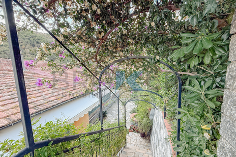 Villa a Alassio, Savona, Alassio - € 440.000 | Ref: 553 - foto 20