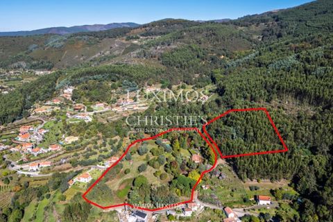 Farm i Ponte de Lima, Viana do Castelo, Ponte de Lima - € 1.950.000 | Ref: LS05526 - foto 20
