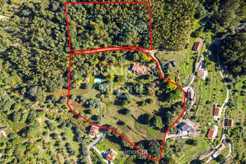 Farm i Ponte de Lima, Viana do Castelo, Ponte de Lima - € 1.950.000 | Ref: LS05526 - foto 25