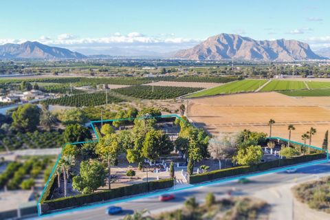 Villa a Orihuela, Alicante, Orihuela - € 410.000 | Ref: MLSC6473960/13477 - foto 2