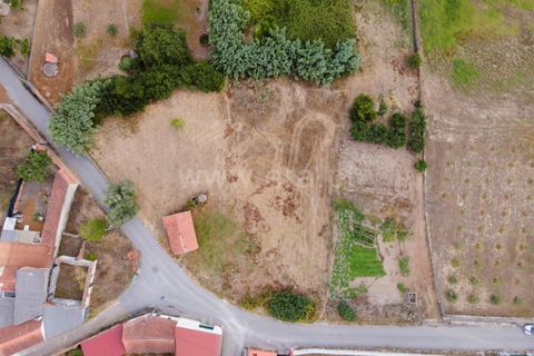 Helårsgrund i Alcobaca, Leiria, Alcobaca - € 30.000 | Ref: 373250083 - foto 6