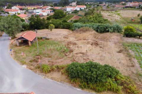 Helårsgrund i Alcobaca, Leiria, Alcobaca - € 30.000 | Ref: 373250083 - foto 7
