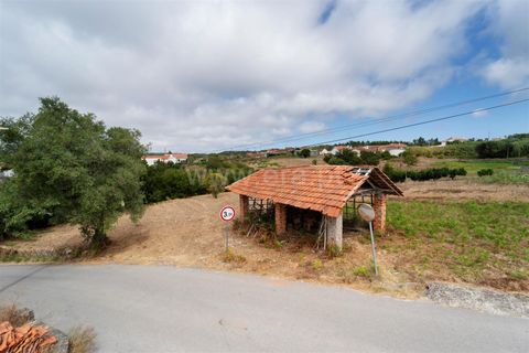 Helårsgrund i Alcobaca, Leiria, Alcobaca - € 30.000 | Ref: 373250083 - foto 9