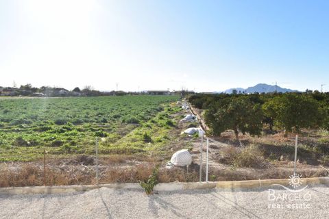 Landejendom i Dolores, Alicante, Dolores - € 529.000 | Ref: 2246 - foto 22