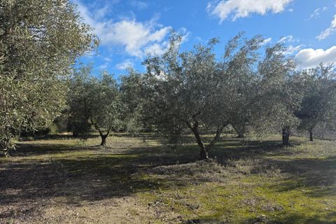 Villa i Gorga, Alicante, Gorga - € 380.000 | Ref: 20199/12462 - foto 47