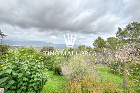 Villa i Inca, Mallorca, Inca - € 1.800.000 | Ref: KM-Inca500 - foto 14