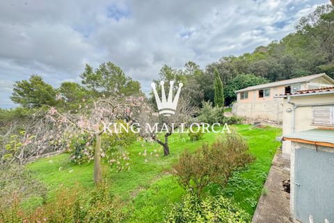 Villa i Inca, Mallorca, Inca - € 1.800.000 | Ref: KM-Inca500 - foto 15