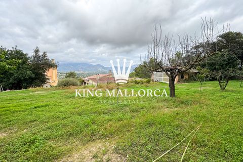 Villa i Inca, Mallorca, Inca - € 1.800.000 | Ref: KM-Inca500 - foto 16