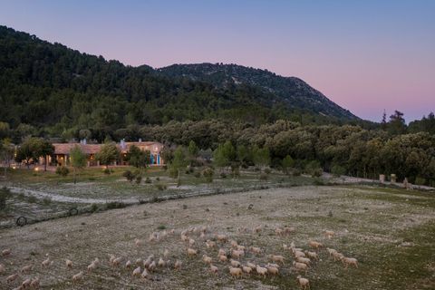 Landejendom i Campanet, Mallorca, Campanet - € 7.500.000 | Ref: CAM52895 - foto 28