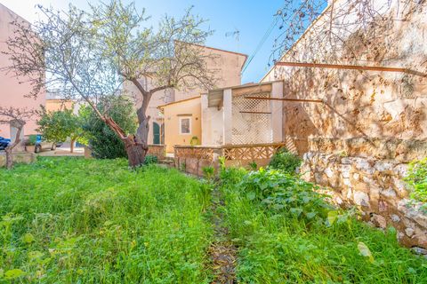 Villa i Andratx, Mallorca, Andratx - € 700.000 | Ref: 50500001_ED/11003 - foto 32