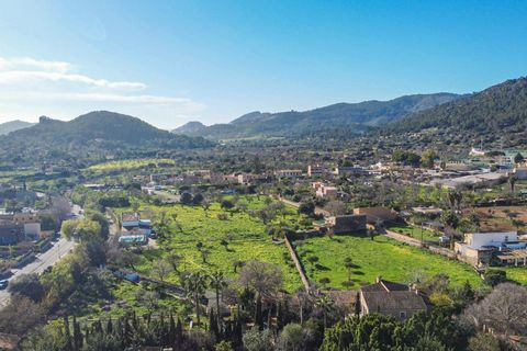 Villa i Andratx, Mallorca, Andratx - € 700.000 | Ref: 50500001_ED/11003 - foto 34