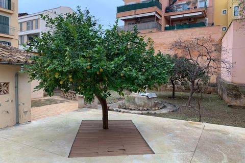 Villa i Andratx, Mallorca, Andratx - € 700.000 | Ref: 50500001_ED/11003 - foto 36
