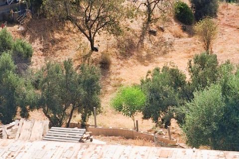 Villa em Marbella, Malaga, Marbella - € 420.000 | Ref: HFMl5166478 - foto 21