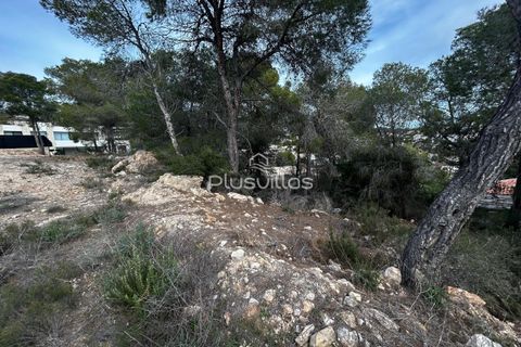 Helårsgrund i Benissa, Alicante, Benissa - € 450.000 | Ref: P41 - foto 4