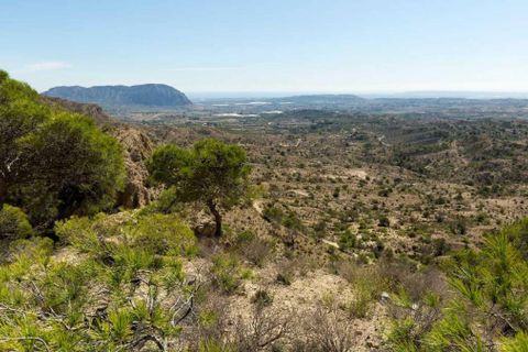 Villa i Aspe, Alicante, Aspe - € 395.000 | Ref: 756-115-10-115 - foto 11