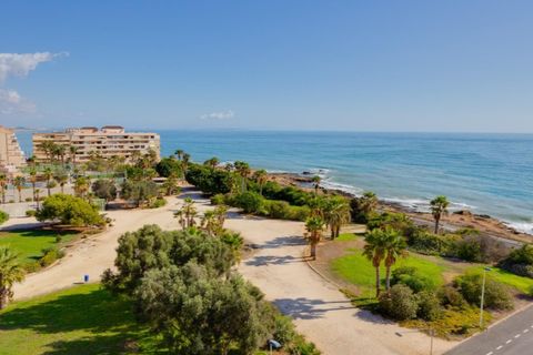 Leilighet i La Mata, Alicante, La Mata - € 110 000 | Ref: MLSC7179535 - foto 24
