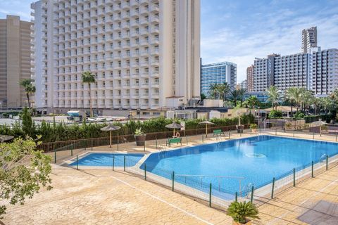 Studio i Benidorm, Alicante, Benidorm - € 169.900 | Ref: 1356 - foto 18