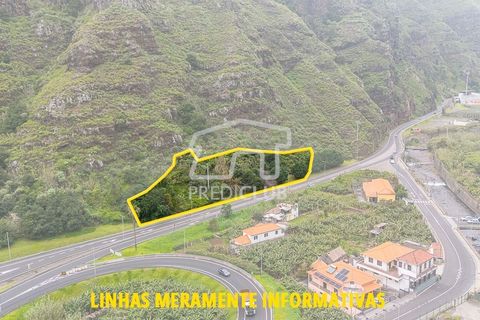 Helårsgrund i Ribeira Brava, Madeira, Ribeira Brava - € 390.000 | Ref: 11848-VG - foto 2