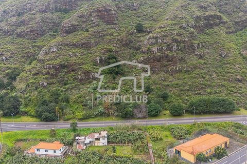 Helårsgrund i Ribeira Brava, Madeira, Ribeira Brava - € 390.000 | Ref: 11848-VG - foto 3