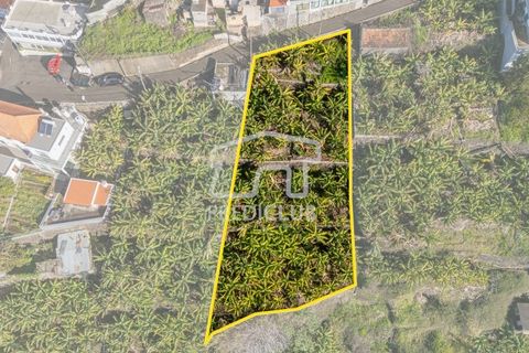 Helårsgrund i Calheta, Madeira, Calheta - € 220.000 | Ref: 11638-LM - foto 2