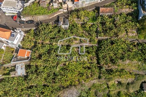 Helårsgrund i Calheta, Madeira, Calheta - € 220.000 | Ref: 11638-LM - foto 3