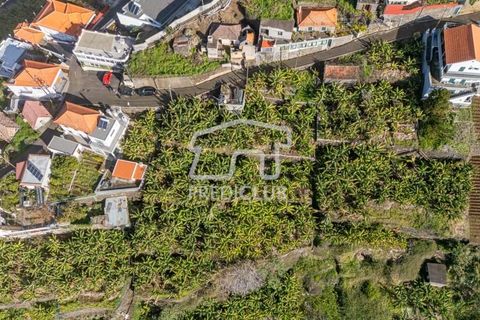 Helårsgrund i Calheta, Madeira, Calheta - € 220.000 | Ref: 11638-LM - foto 4