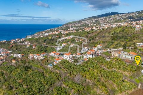 Helårsgrund i Calheta, Madeira, Calheta - € 220.000 | Ref: 11638-LM - foto 9