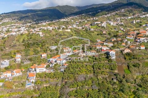 Helårsgrund i Calheta, Madeira, Calheta - € 220.000 | Ref: 11638-LM - foto 15