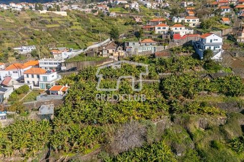 Helårsgrund i Calheta, Madeira, Calheta - € 220.000 | Ref: 11638-LM - foto 19