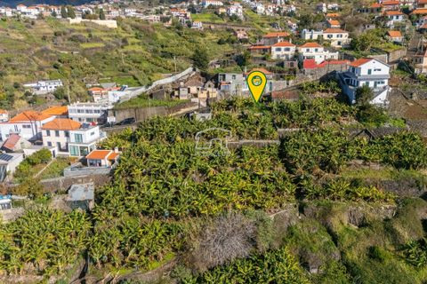 Helårsgrund i Calheta, Madeira, Calheta - € 220.000 | Ref: 11638-LM - foto 34